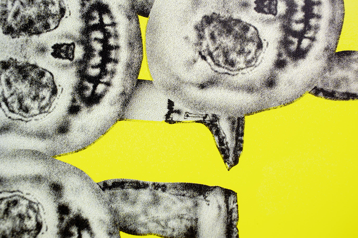 marcin jedlikowski, kolejka, serigrafia, sitodruk, kwiaciarnia grafiki, graphics flower shop