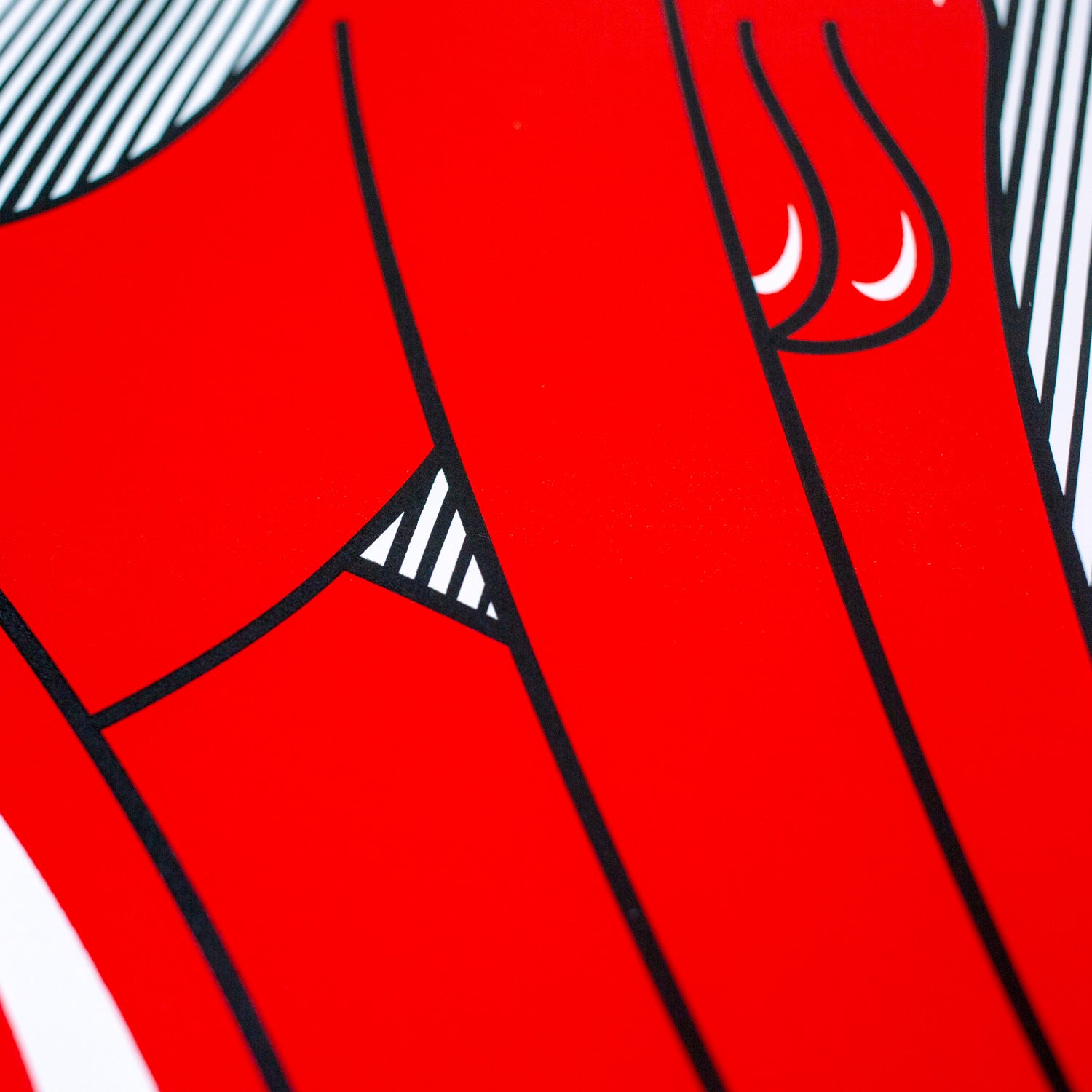 maurycy gomulicki, gaja, serigrafia, sitodruk, kwiaciarnia grafiki, graphics flower shop