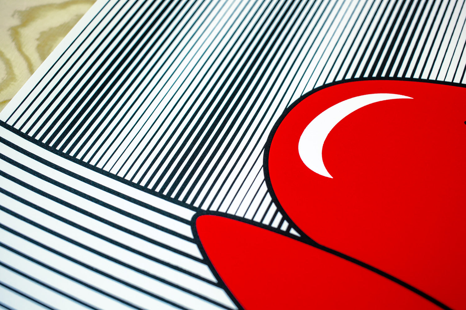 maurycy gomulicki, gaja, serigrafia, sitodruk, kwiaciarnia grafiki, graphics flower shop