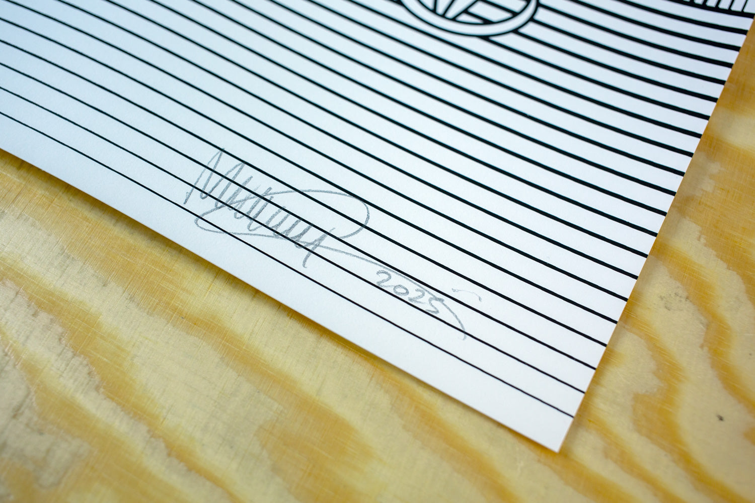 maurycy gomulicki, gaja, serigrafia, sitodruk, kwiaciarnia grafiki, graphics flower shop