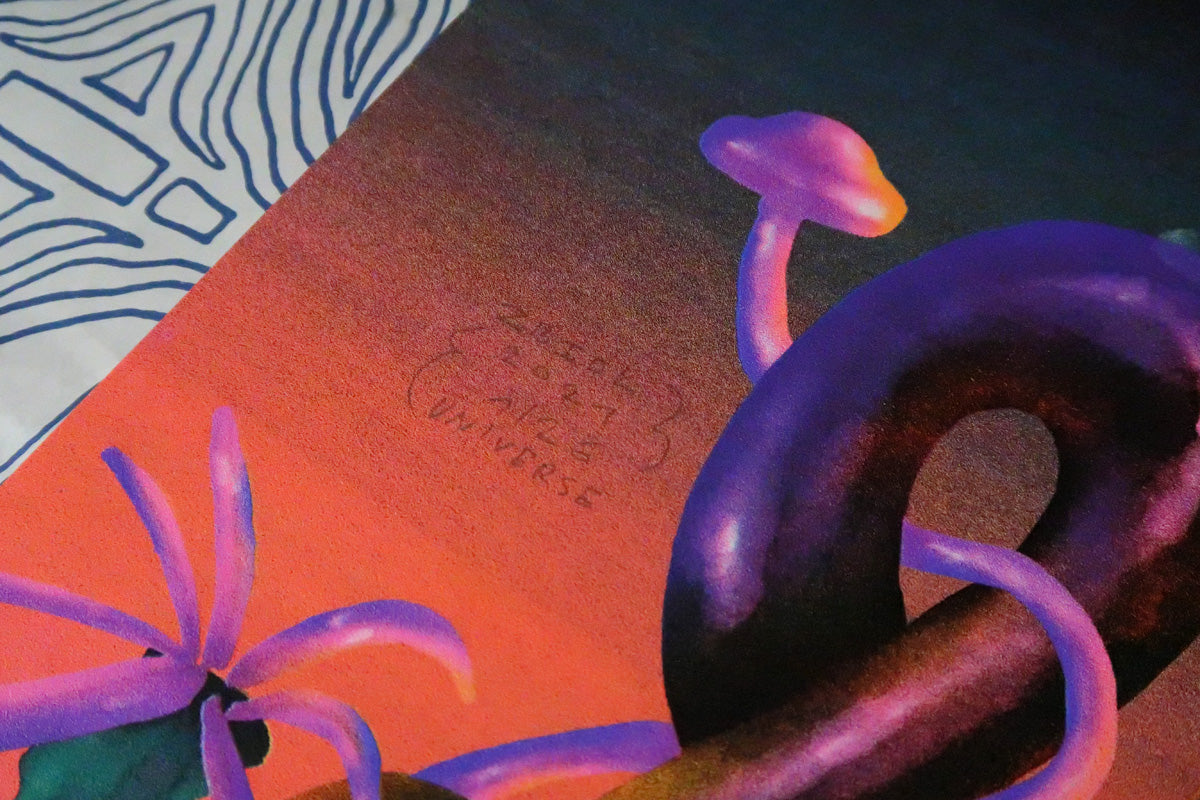 slawek czajkowski, silkscreen, serigrafia, kwiaciarnia grafiki, univers